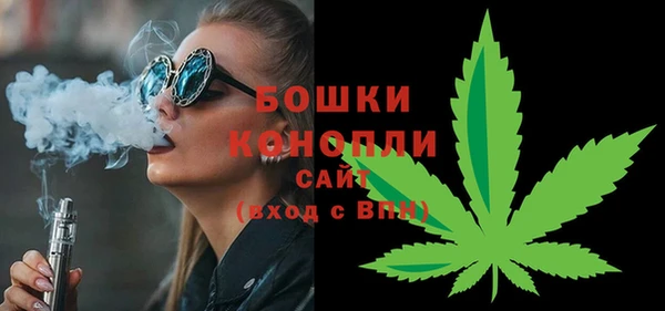 гашик Медногорск